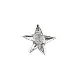 STAR BUTTON CLIP