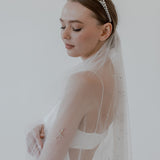 GALACTIC VEIL