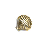 SHELL HAIR CLIP