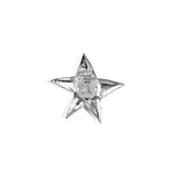 STAR BUTTON CLIP