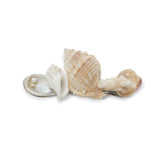 SEASHELL HAIR CLIP