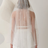 GALACTIC VEIL